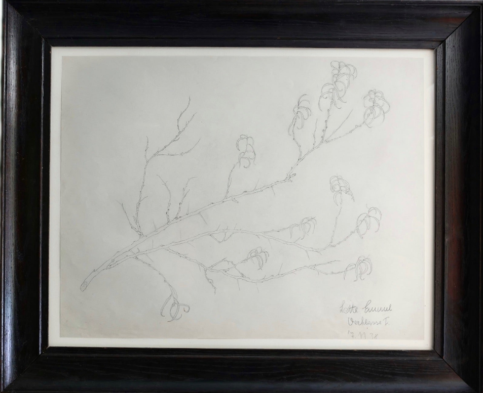 Lotte Emmel Vorklasse Study