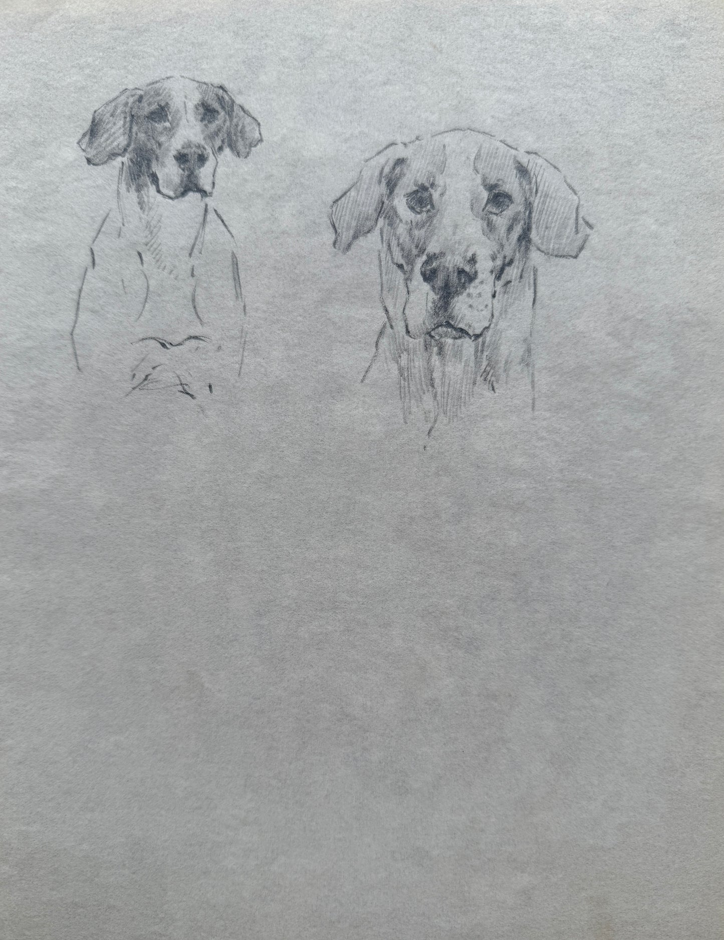 Portrait of Hounds by Thomas Blinks