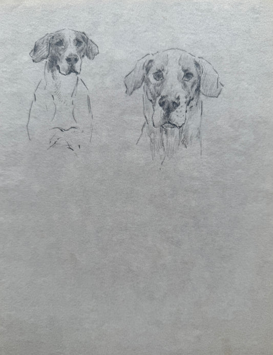 Portrait of Hounds by Thomas Blinks