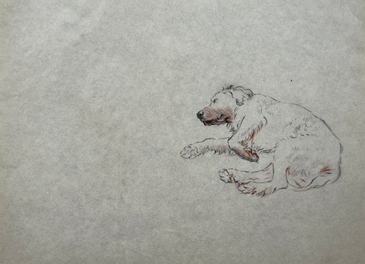 A Setter Sleeping By Thomas Blinks