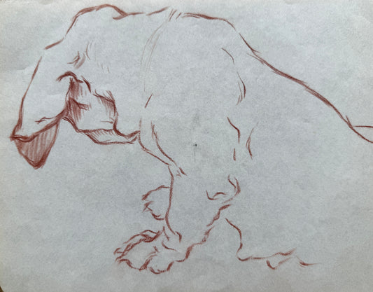 Sketch of a Dog By Thomas Blinks
