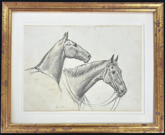 Profile Study of Two Horses