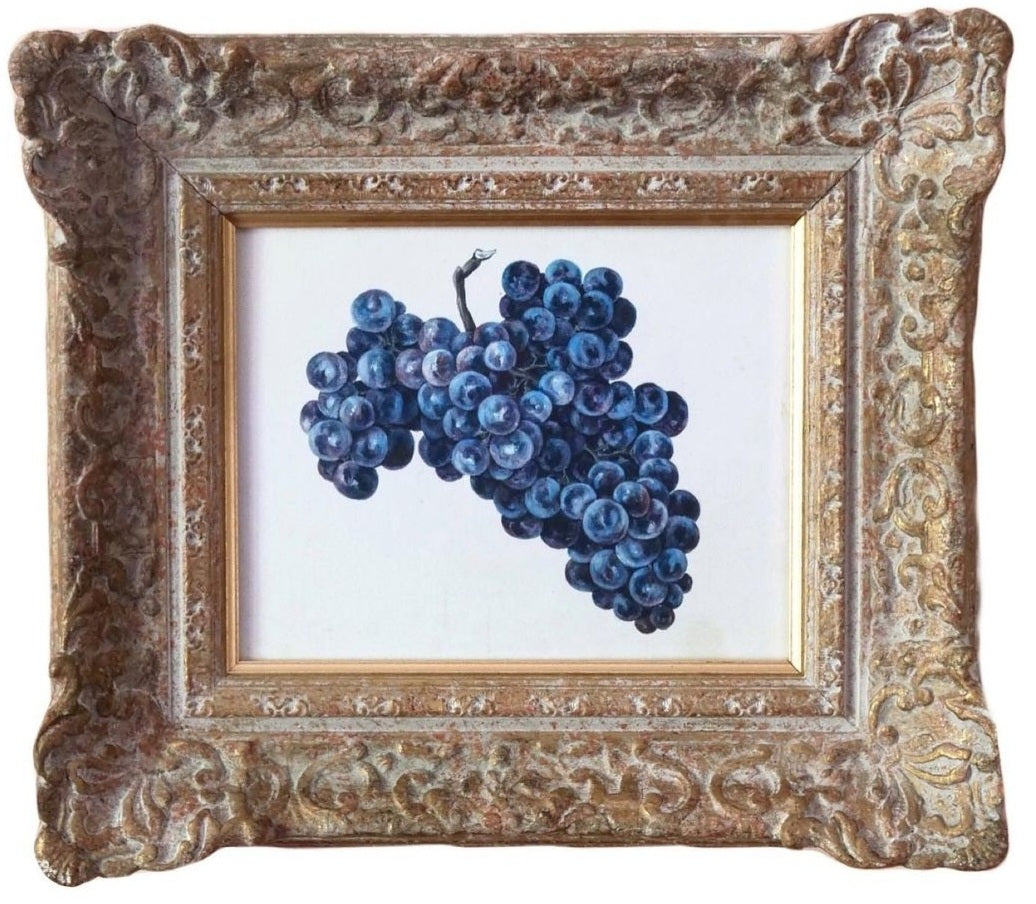Study of grapes - Limited edition Print