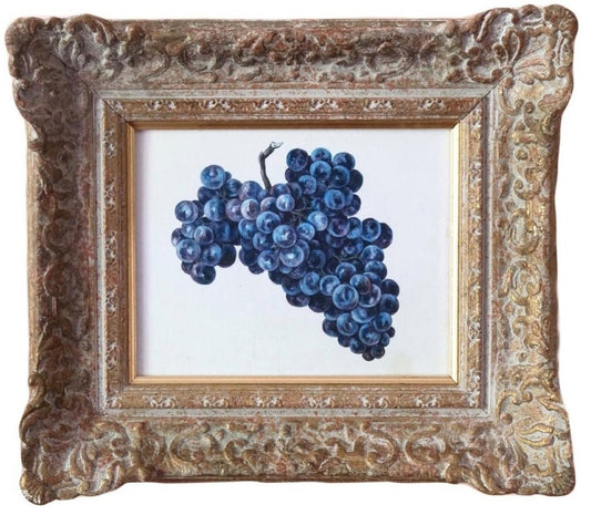 Study of grapes - Limited edition Print