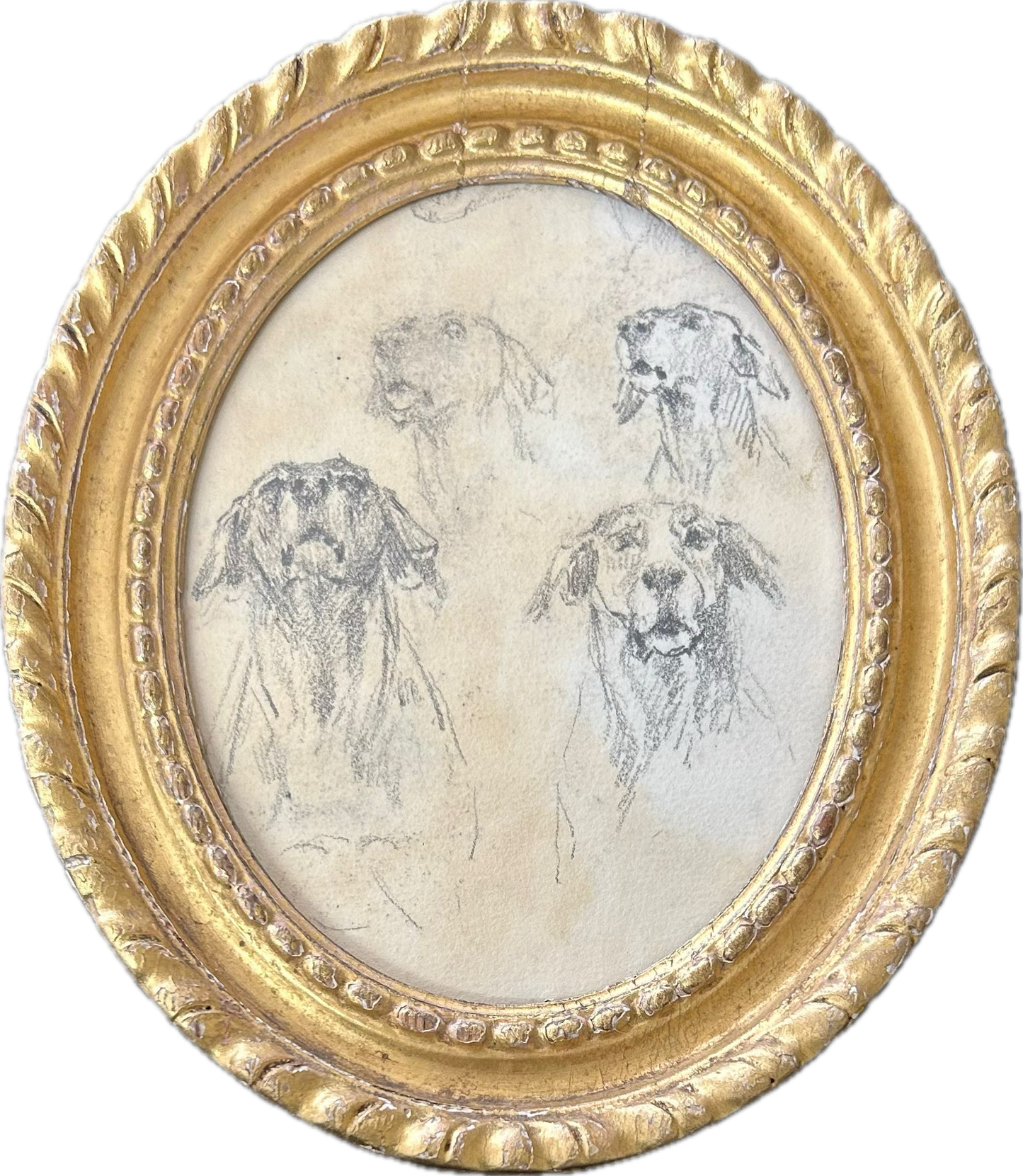 A study of 4 dog's - Thomas Blinks