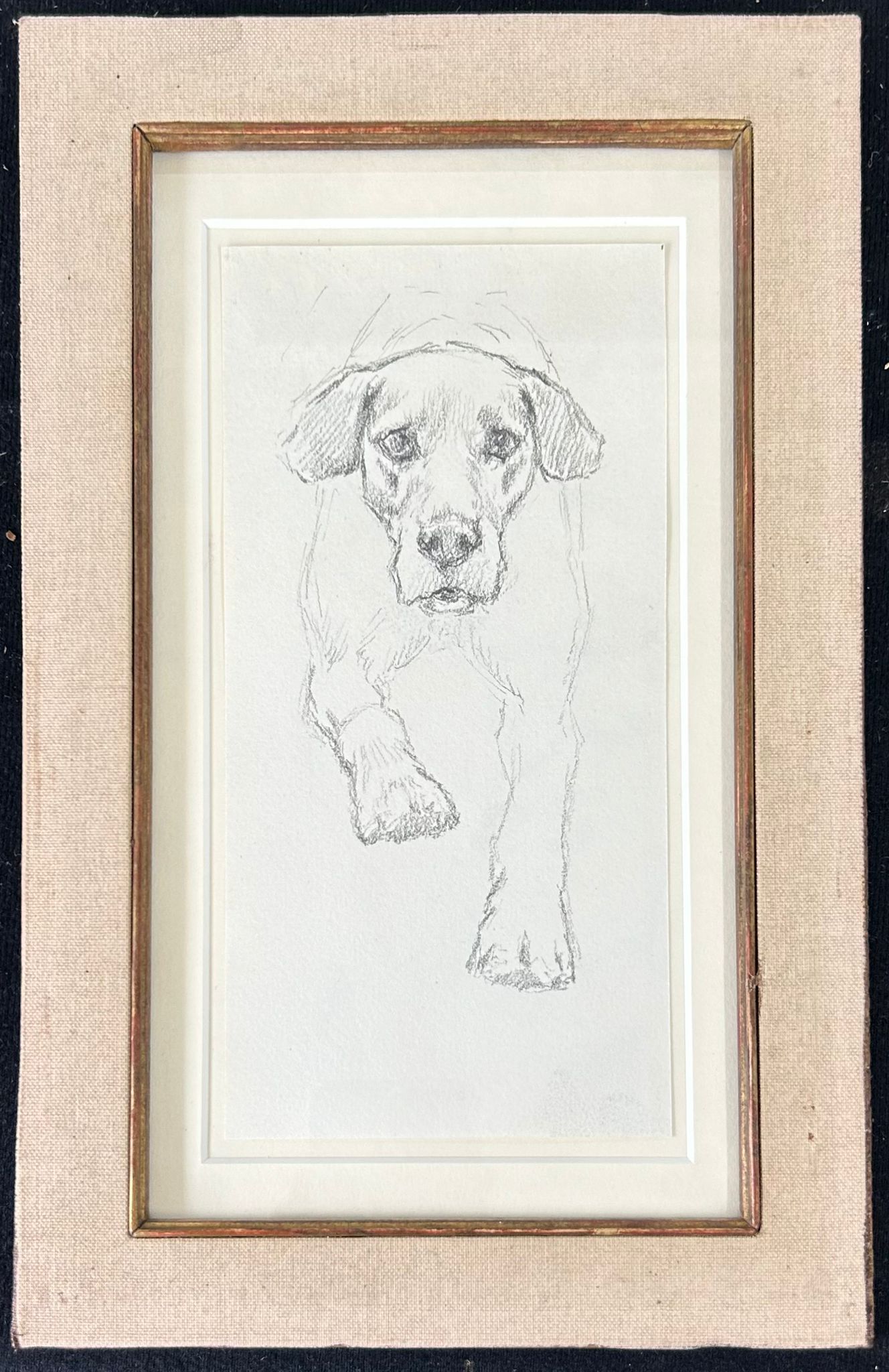 Study of a Dog #1 -Thomas Blinks