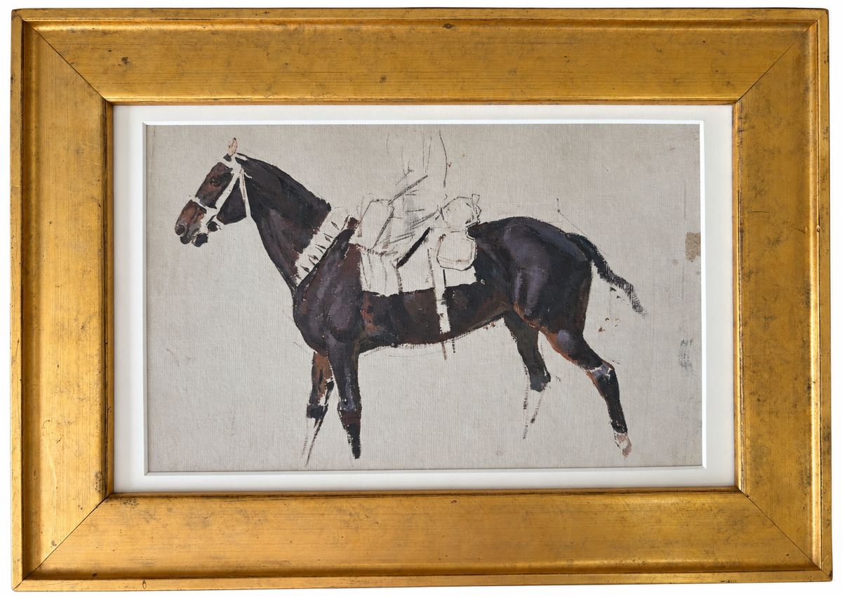 Study of a Horse