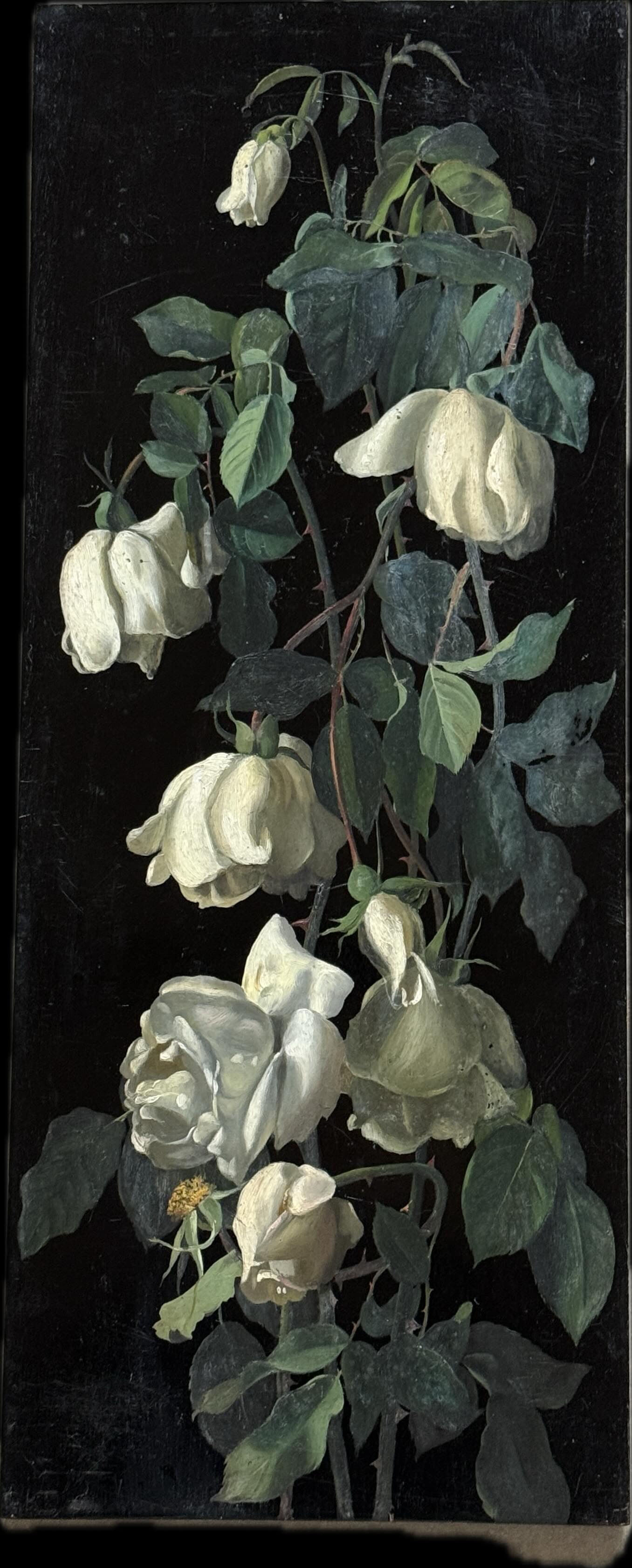 A set of four Floral Studies