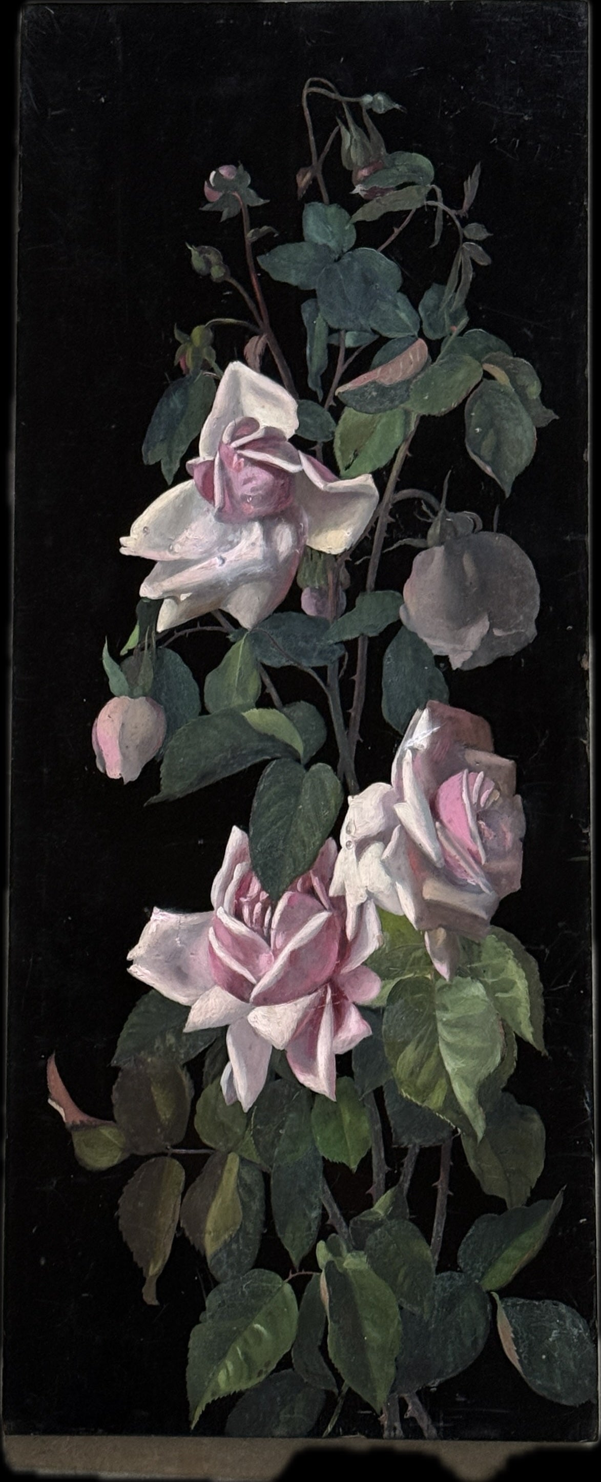 A set of four Floral Studies