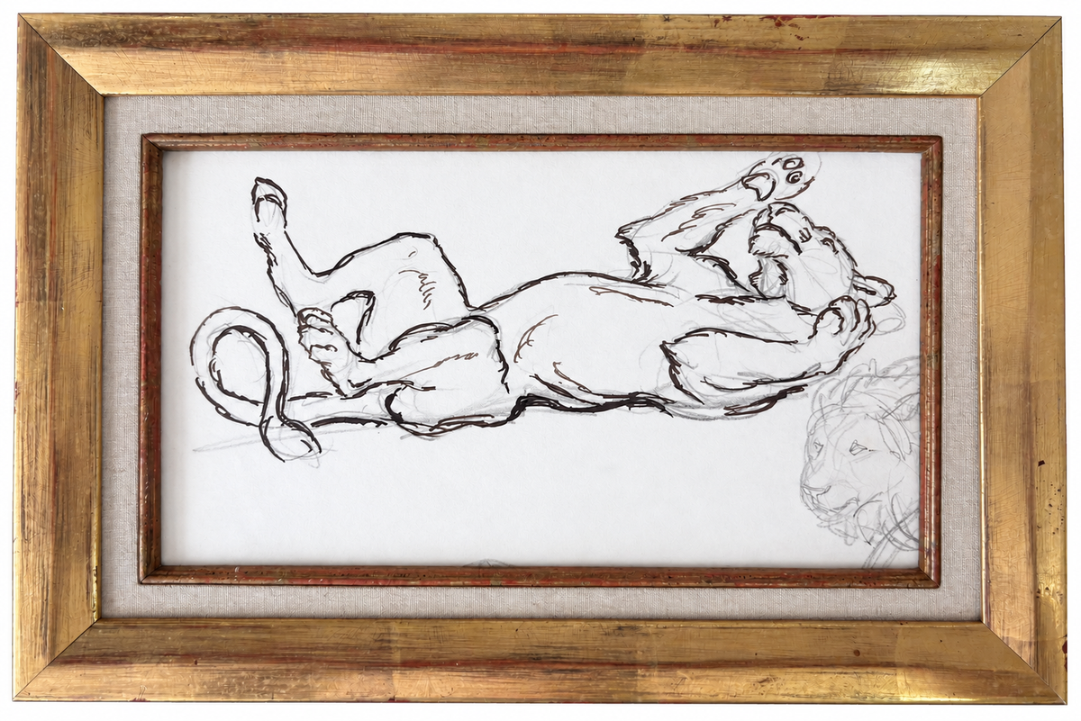Study of a Lion