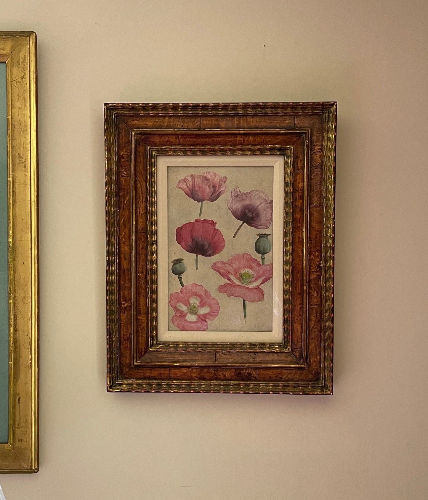 Poppies