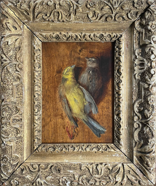 Study of Birds