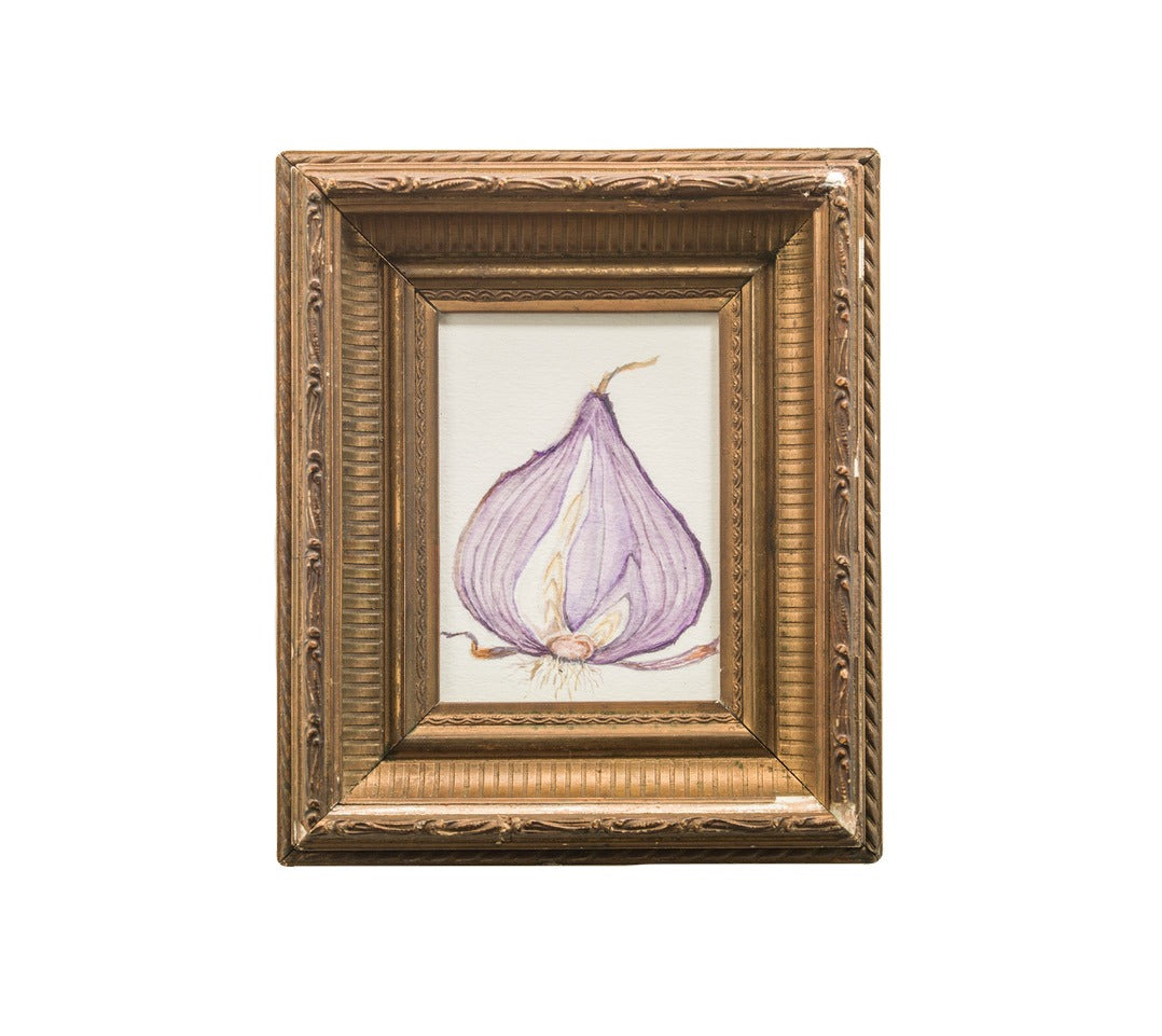 Red Onion Study