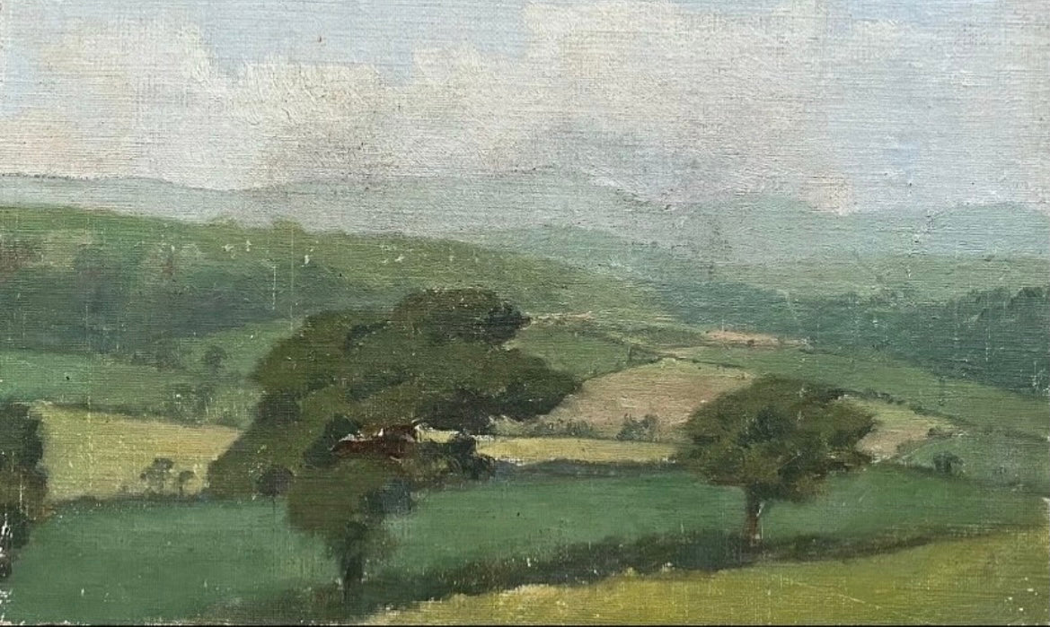 Hazy Landscape Panoramic Views