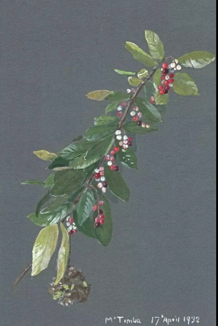 Floral Still Life