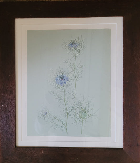 A study of a Flower