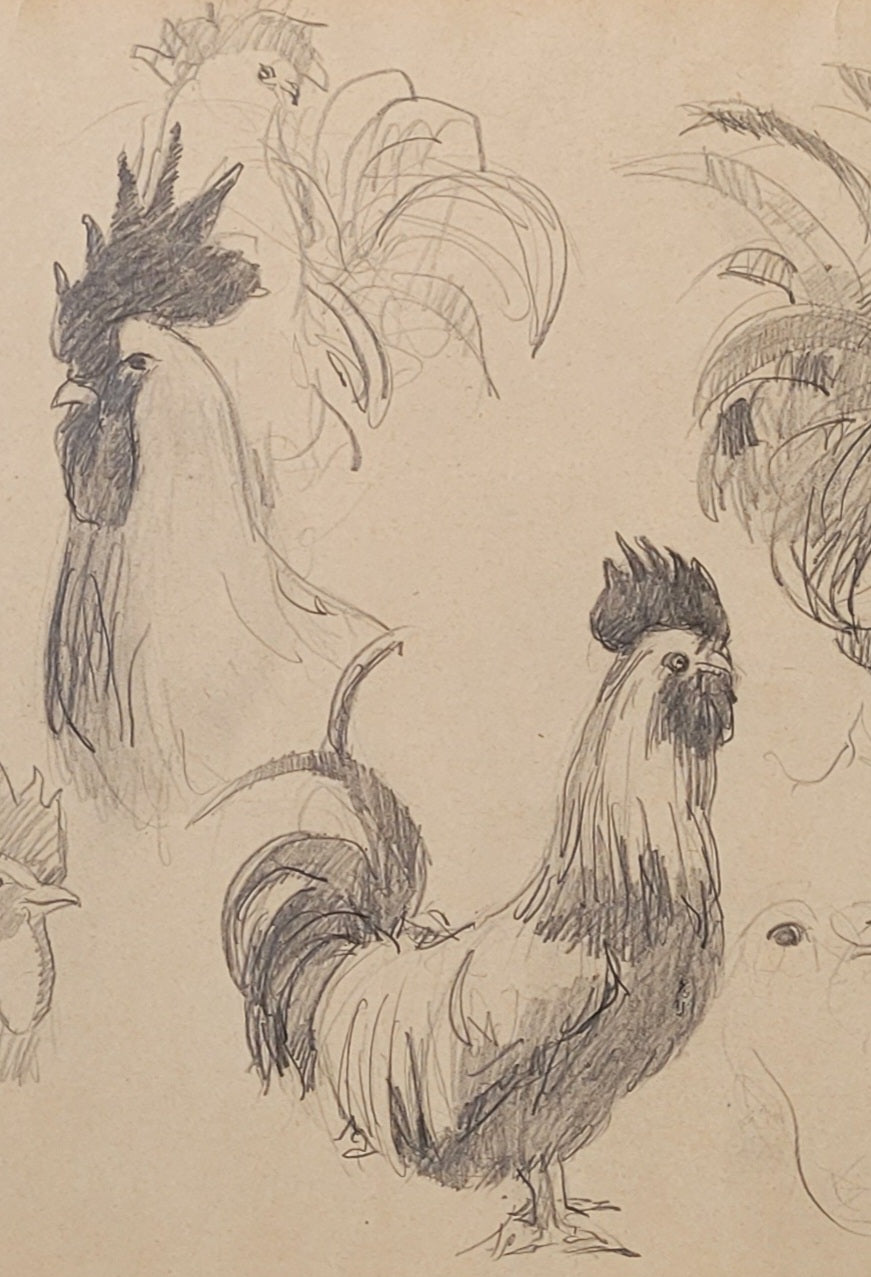 Chicken Study