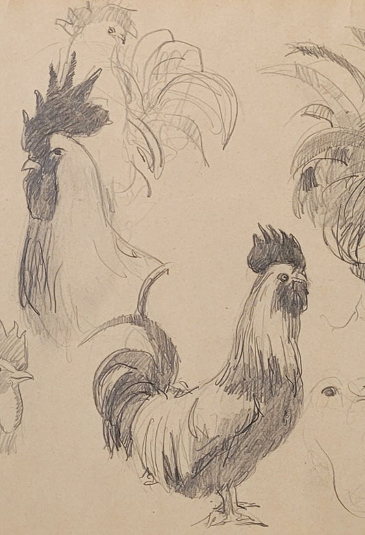 Chicken Study