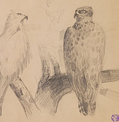 Eagle Study