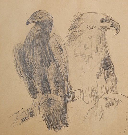 Eagle Study #2