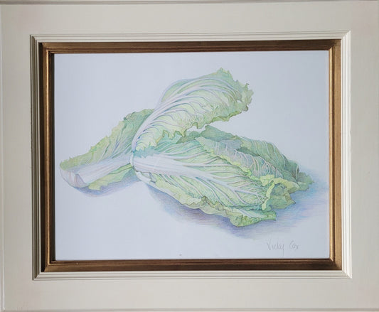 Green cabbage study