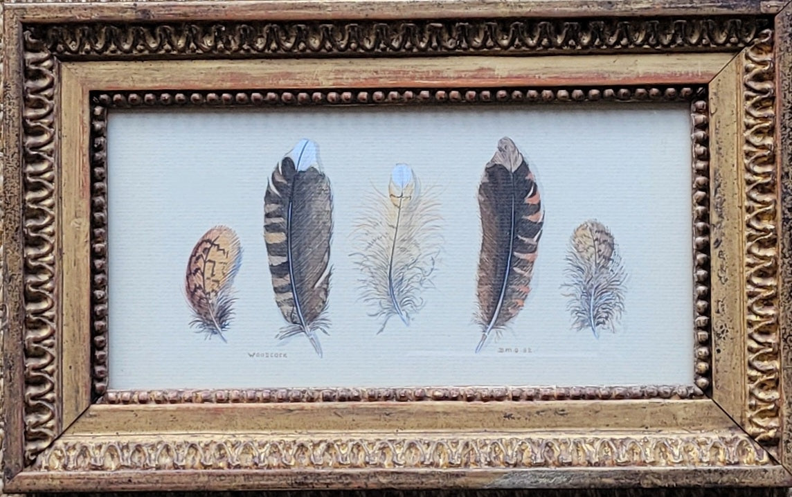 Watercolour Study of Feathers