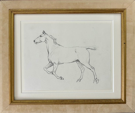 Study of a Galloping Horse - Thomas Blinks