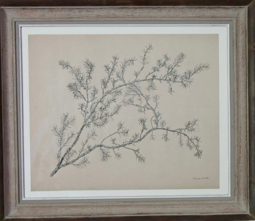 Lotte Emmel Vorklasse - Study of a Branch in flower