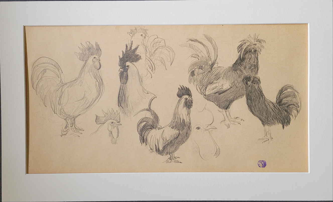 Chicken Study