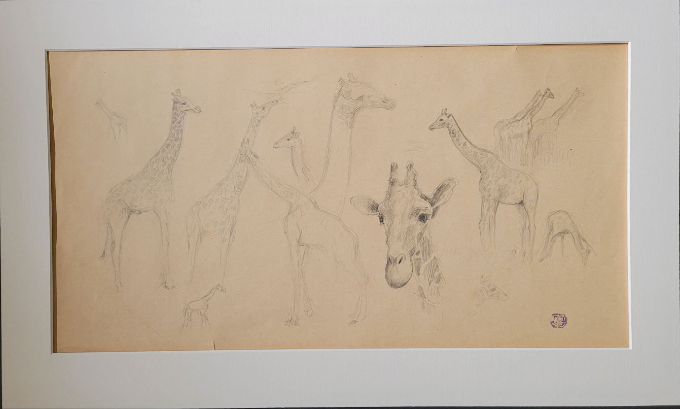 Giraffe Study