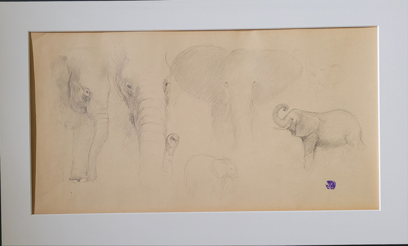 Elephant Study #2