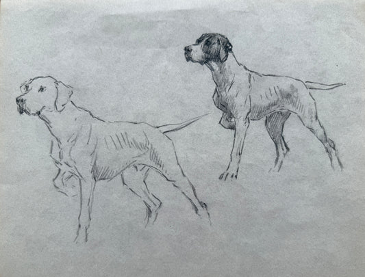 A Study of Hounds By Thomas blinks