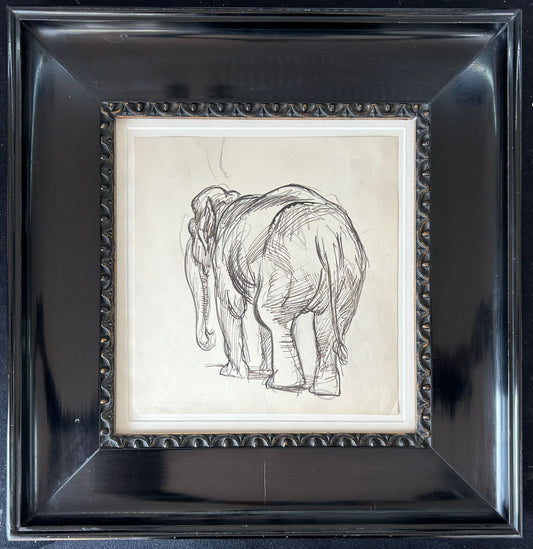 Study of an Elephant