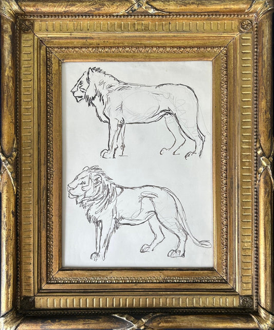 Lion Study