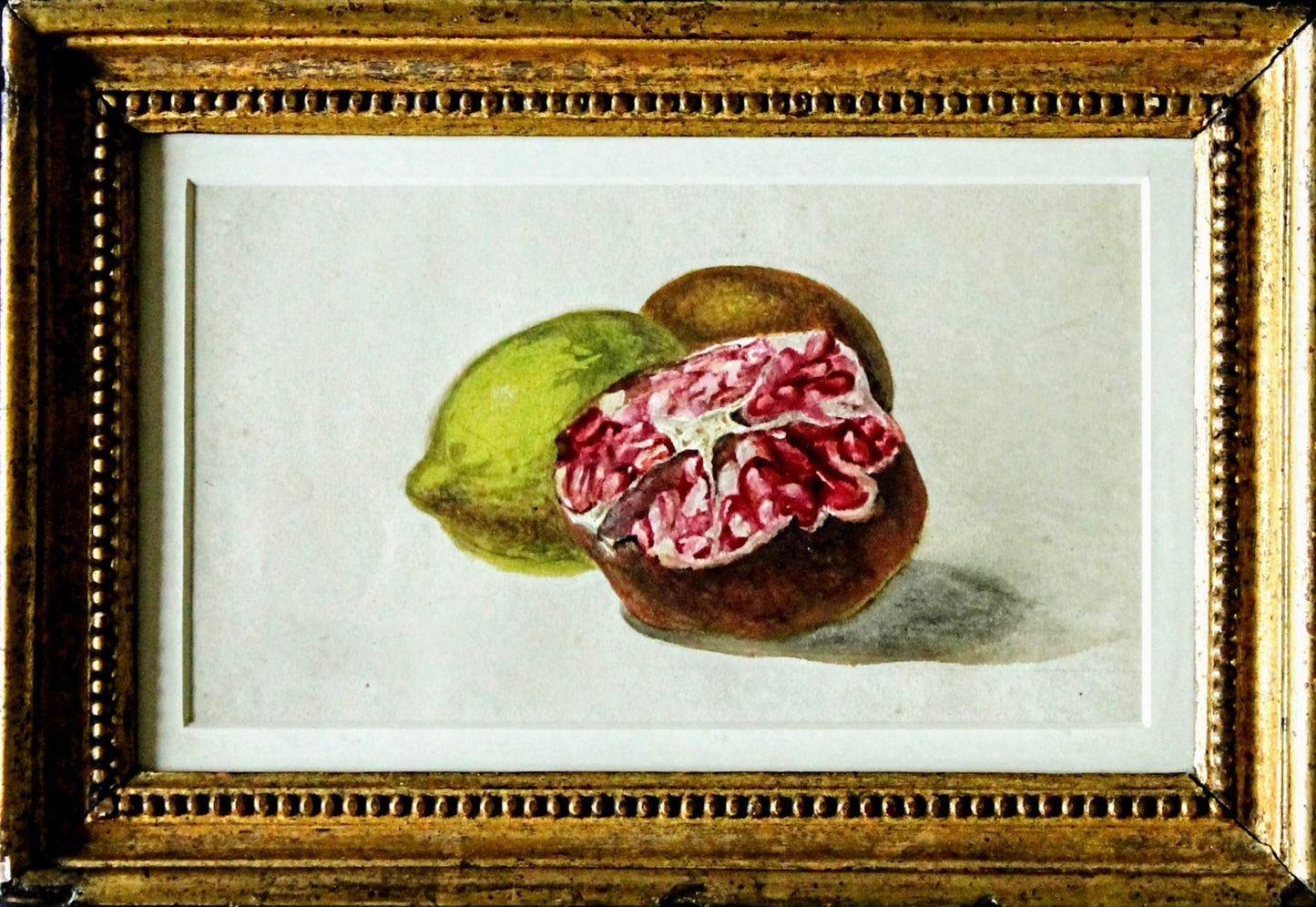 Pomegranate Study