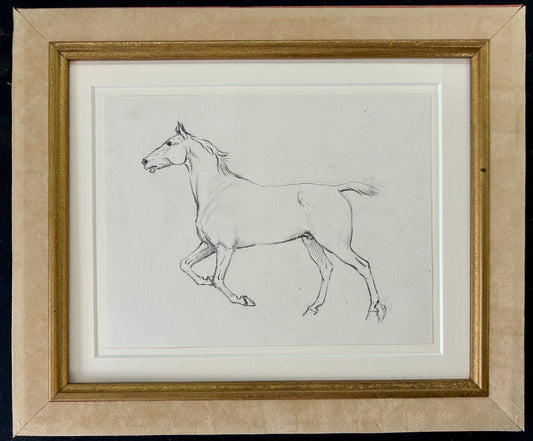 Study of a Galloping Horse - Thomas Blinks