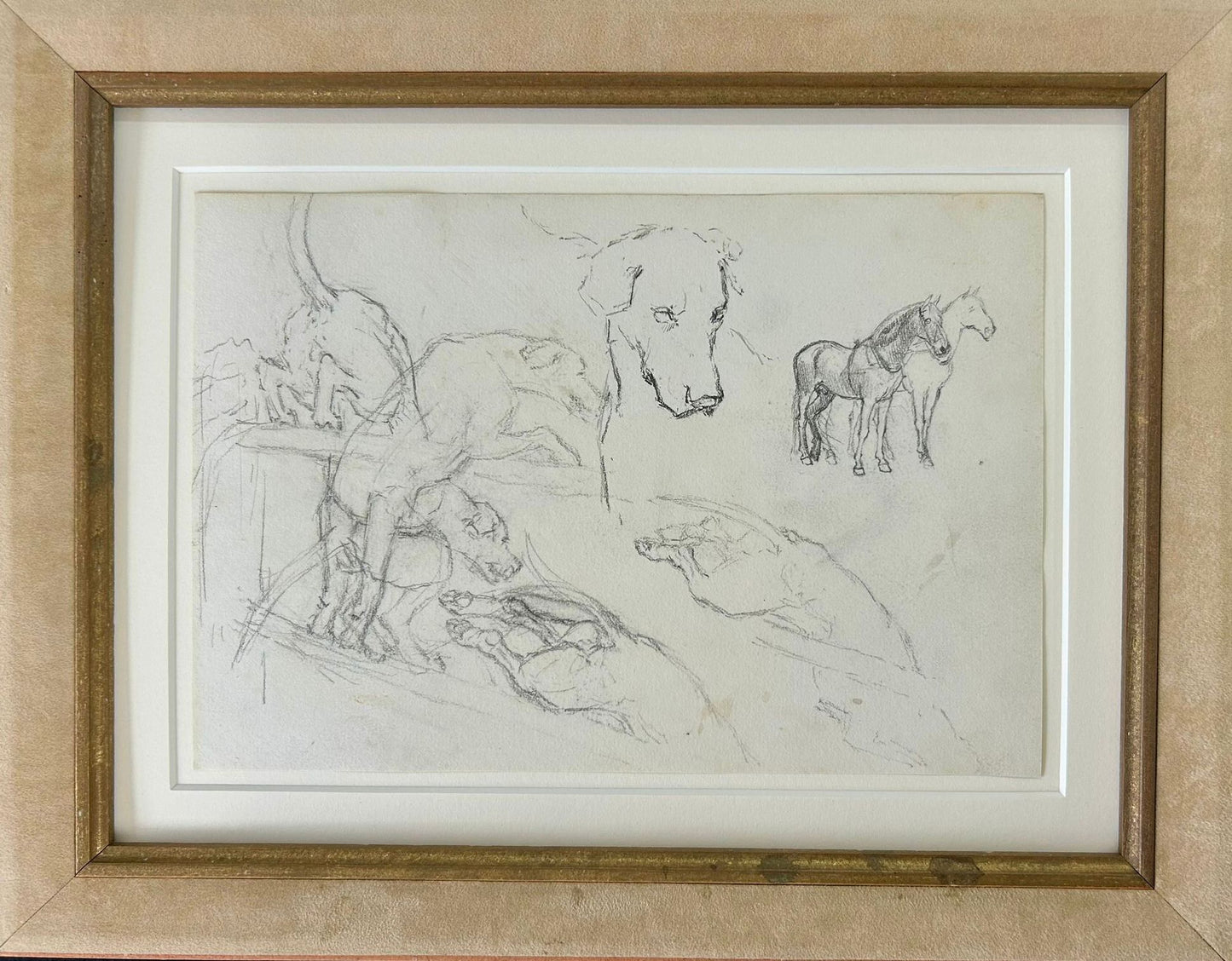 Study of Hounds and Horse's  - Thomas Blinks