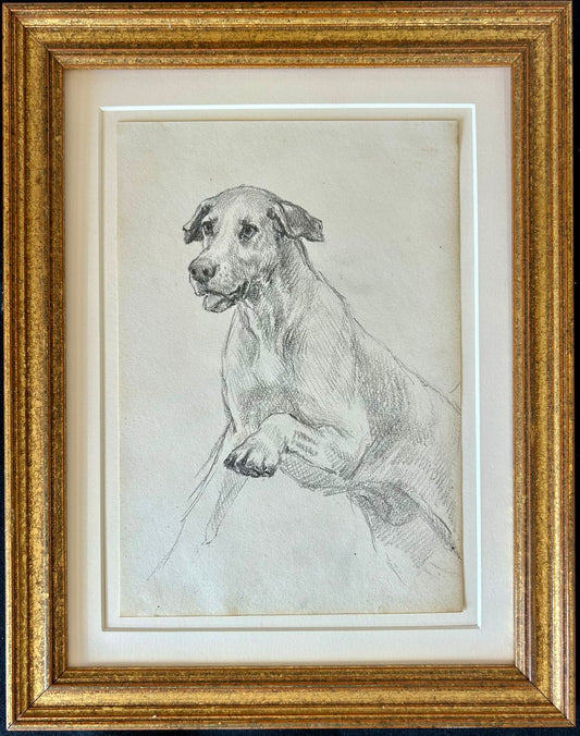 Study of a Dog #3 - Thomas Blinks