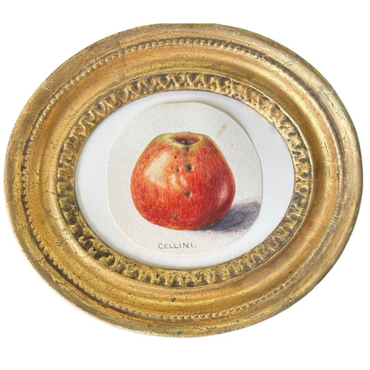 Cellini Apple Study