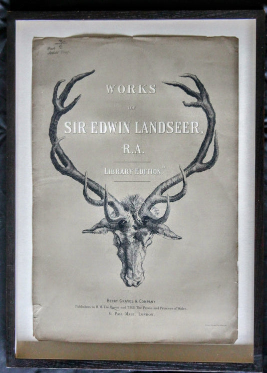 Stag print