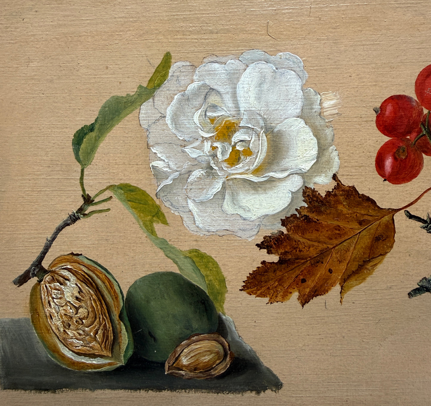 Study of Flowers, Fruit and a Walnut