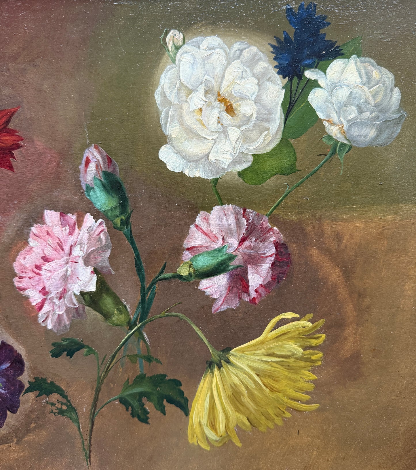 Study of Flowers