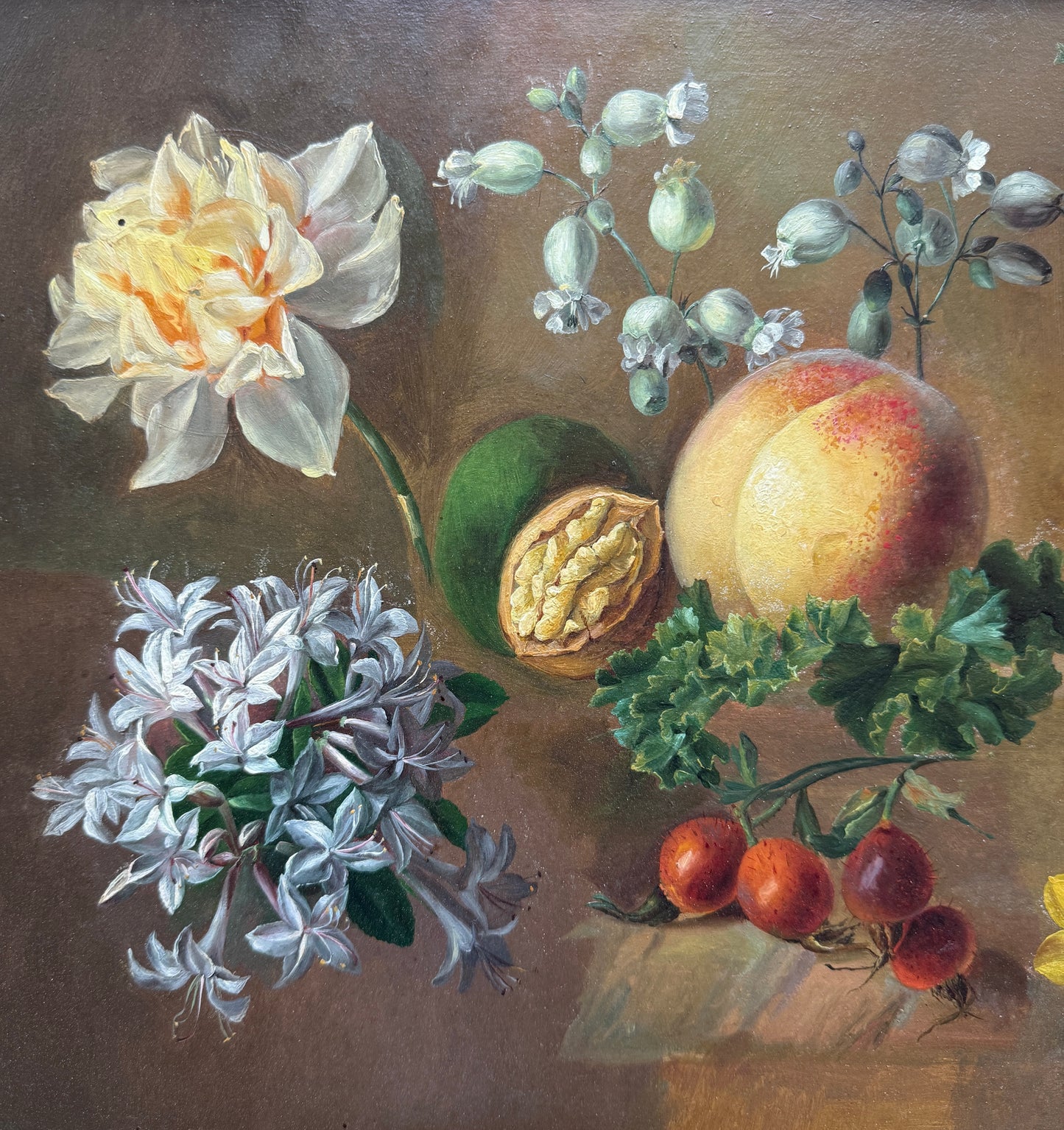 Study of Fruit, Flowers, Walnut and Rosehips