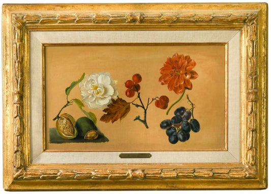 Study of Flowers, fruit and a walnut