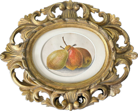Pear Study #1
