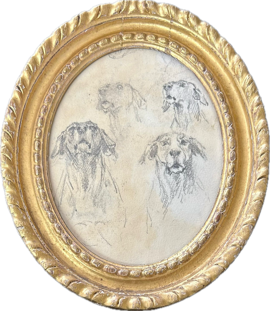 A study of 4 dog's - Thomas Blinks
