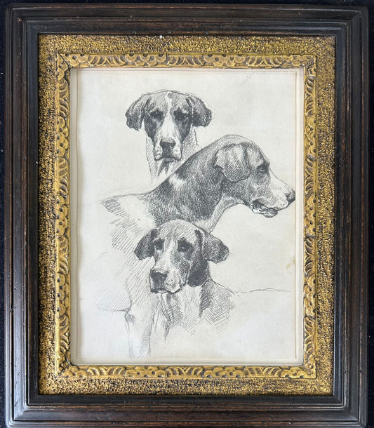 A study of 3 Dogs - Thomas Blinks