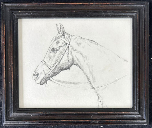 A study of a Horse - Thomas Blinks