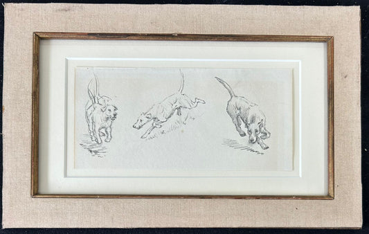 A study of 3 playful dog's - Thomas Blinks