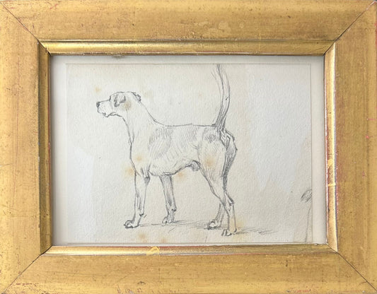 A Dog study - Thomas Blinks